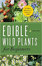 Edible Wild Plants for Beginners.jpg